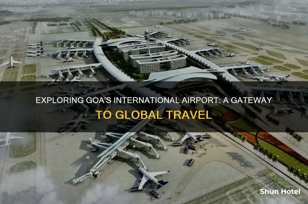 does goa have international airport