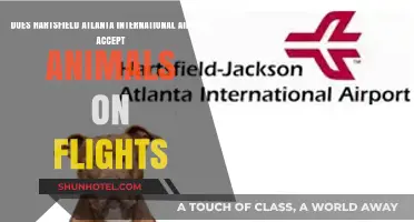 Traveling with Pets: Hartsfield-Atlanta Airport's Animal Flight Policies Explained