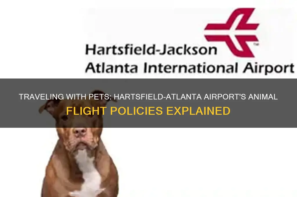 does hartsfield atlanta international airport accept animals on flights