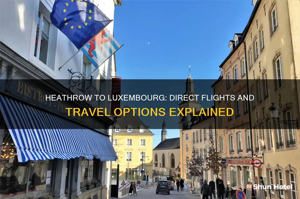 does heathrow international airport fly to luxenberg