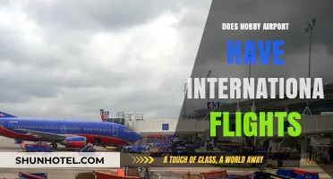 Exploring Hobby Airport: International Flights Availability and Destinations