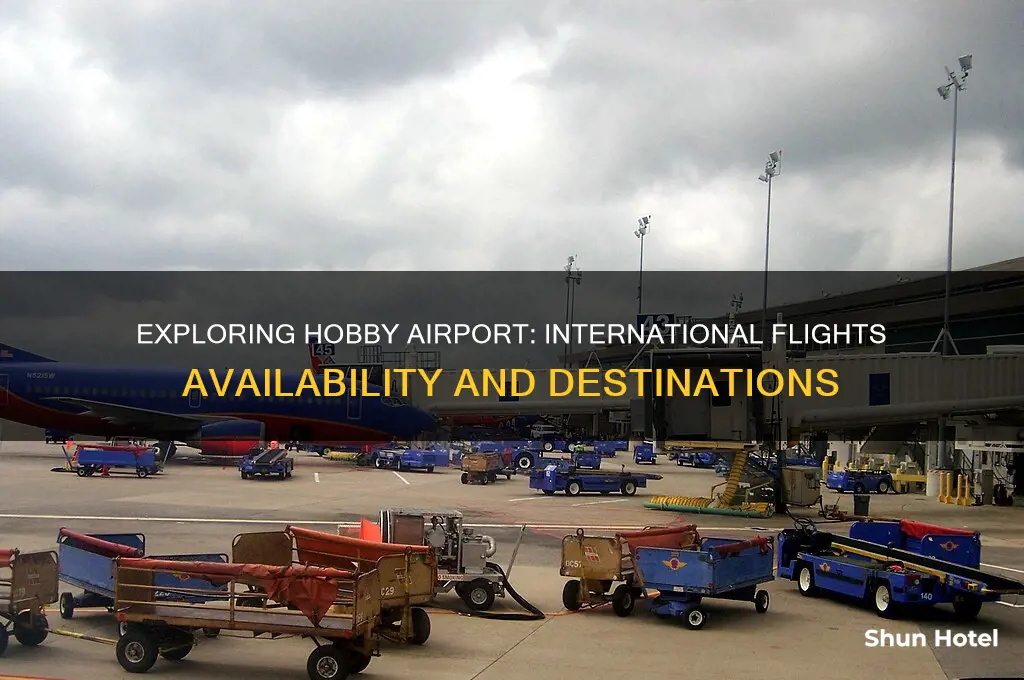 does hobby airport have international flights