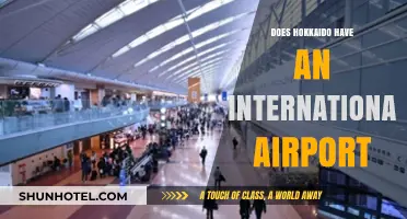 Exploring Hokkaido: Does Japan's Northern Island Have an International Airport?