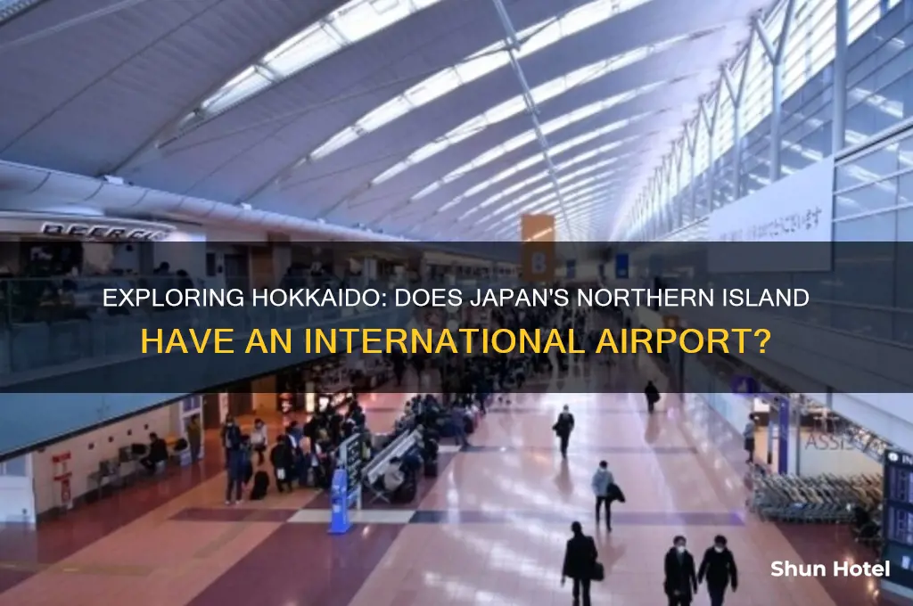 does hokkaido have an international airport