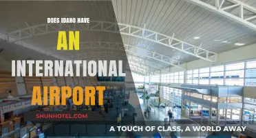 Exploring Idaho's Air Travel: Does the State Have an International Airport?