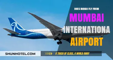 Indigo Flights from Mumbai International Airport: Routes and Schedules Explained