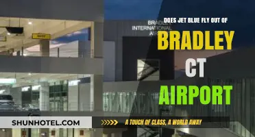 JetBlue Flights from Bradley International Airport: Your Guide to CT Travel