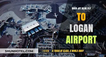 JetBlue at Logan Airport: Routes, Schedules, and Travel Tips