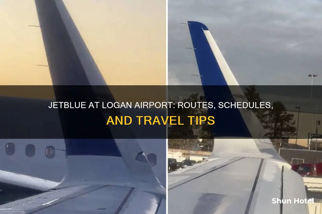 does jet blue fly to logan airport