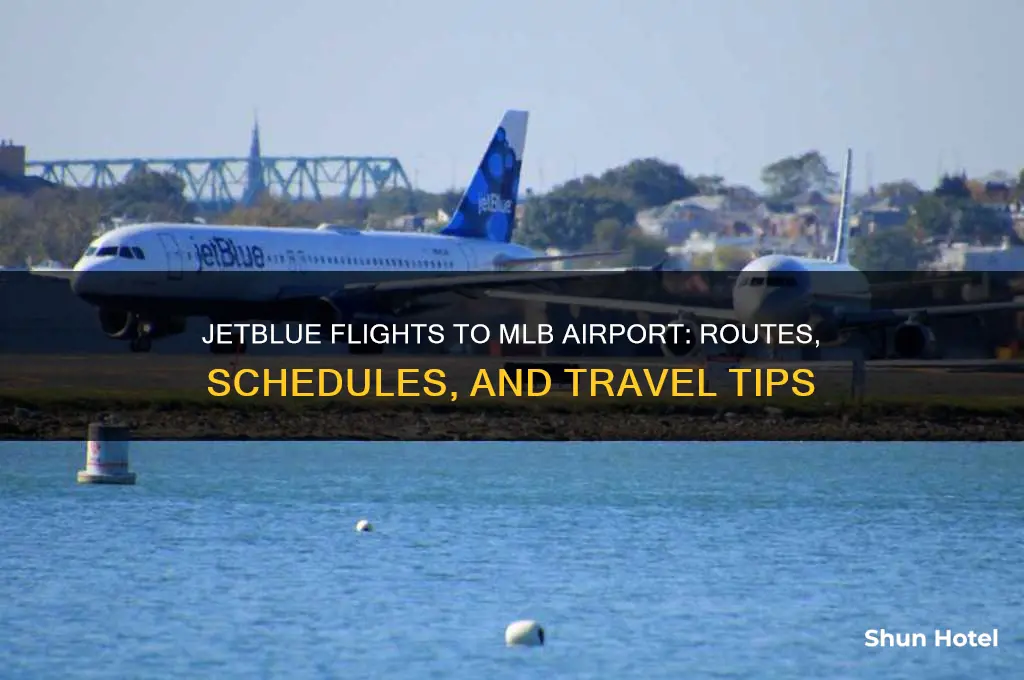 does jet blue fly to mlb airport