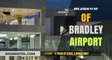 JetBlue at Bradley Airport: Routes, Schedules, and Travel Tips