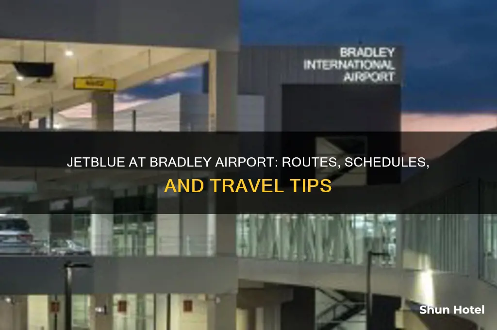 does jetblue fly out of bradley airport