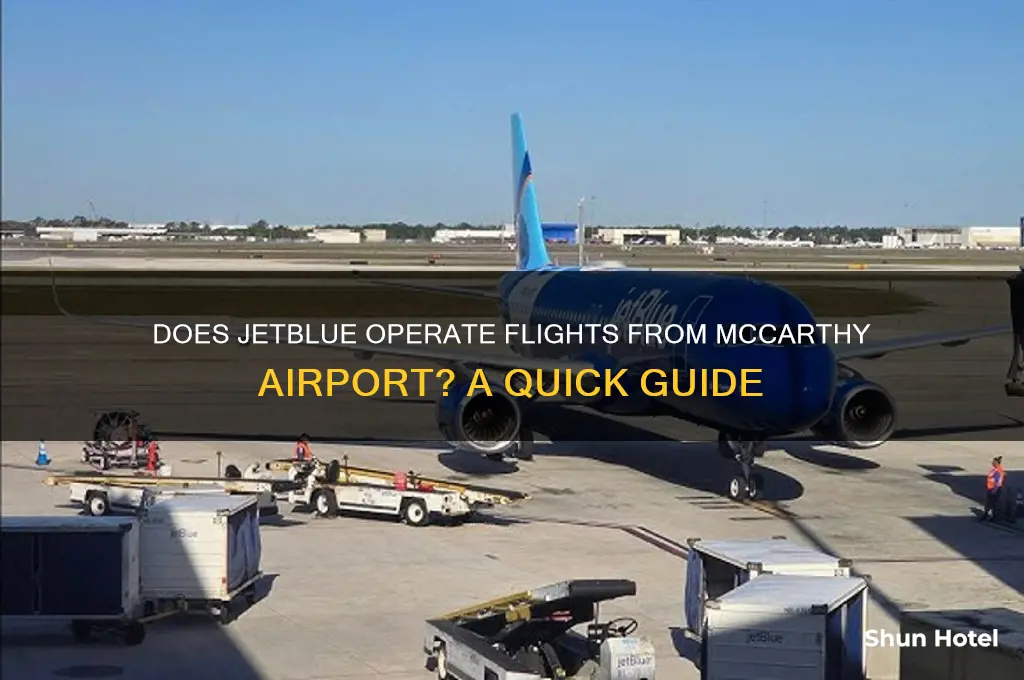 does jetblue fly out of mccarthy airport