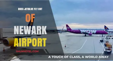 Does JetBlue Operate Flights from Newark Airport? Find Out Here