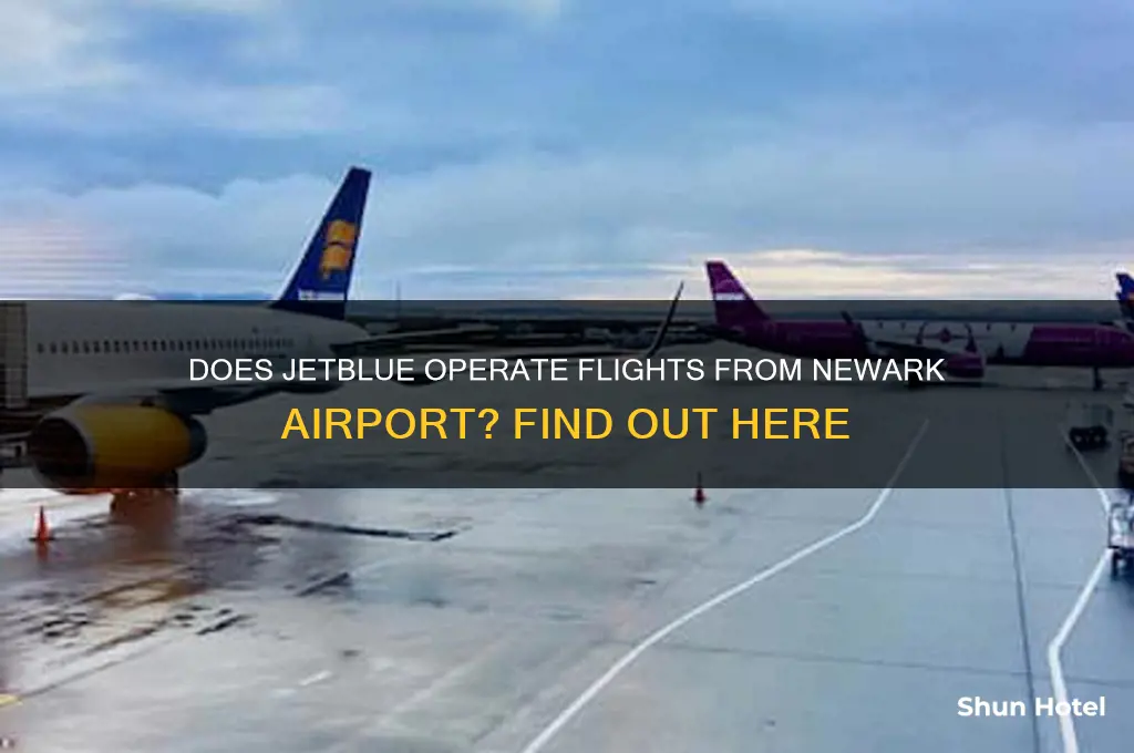 does jetblue fly out of newark airport
