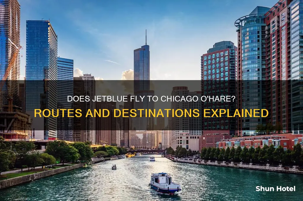 does jetblue fly to chicago o