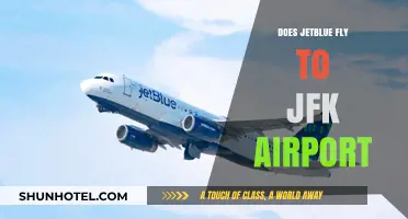 JetBlue's JFK Airport Routes: Destinations, Schedules, and Travel Tips