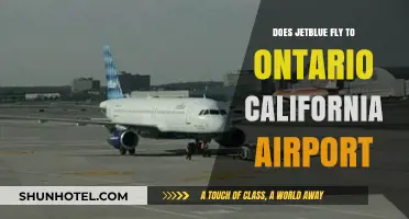 JetBlue Flights to Ontario, California: Routes, Schedules, and Availability