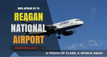 JetBlue at Reagan National: Routes, Availability, and Travel Tips