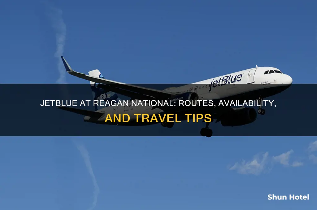 does jetblue fly to reagan national airport