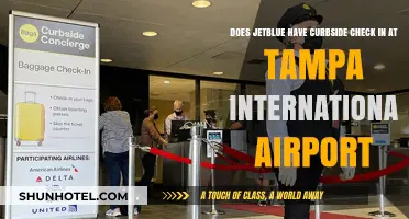 JetBlue Curbside Check-In at Tampa International Airport: What You Need to Know