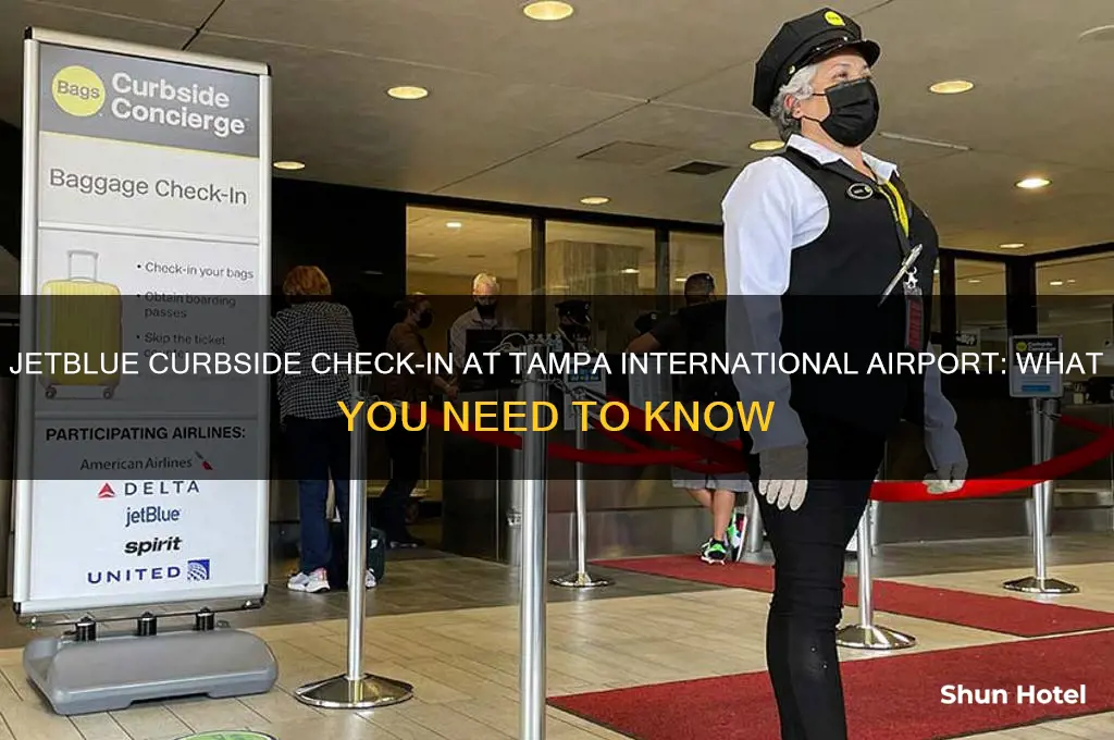 does jetblue have curbside check in at tampa international airport