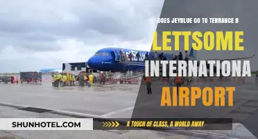 JetBlue Flights to Terrance B. Lettsome International Airport: What You Need to Know