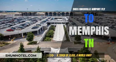 Knoxville to Memphis Flights: Exploring Direct Routes and Travel Options