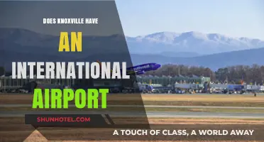 Knoxville's Airport: International Hub or Regional Gateway?