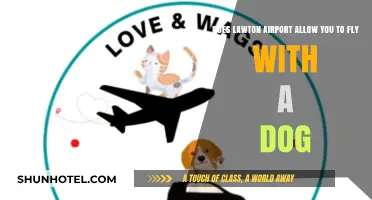 Can You Fly with a Dog from Lawton Airport? Rules Explained