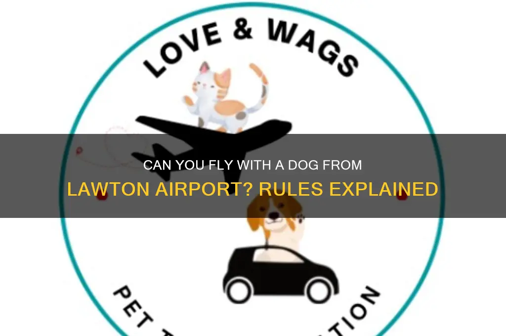 does lawton airport allow you to fly with a dog
