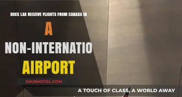 Lax's Non-International Airport: Canadian Flights?