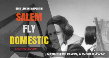 Does Lekrone Airport in Salem Offer Domestic Flights?