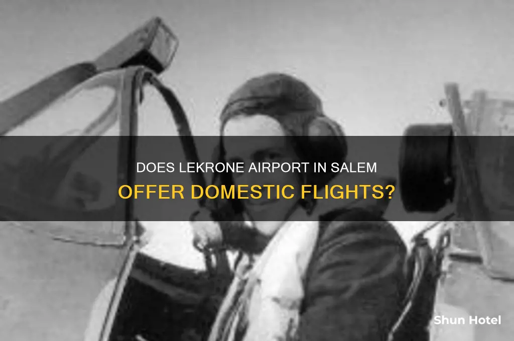 does lekrone airport in salem fly domestic