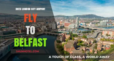 London City Airport to Belfast: Routes, Airlines, and Travel Tips