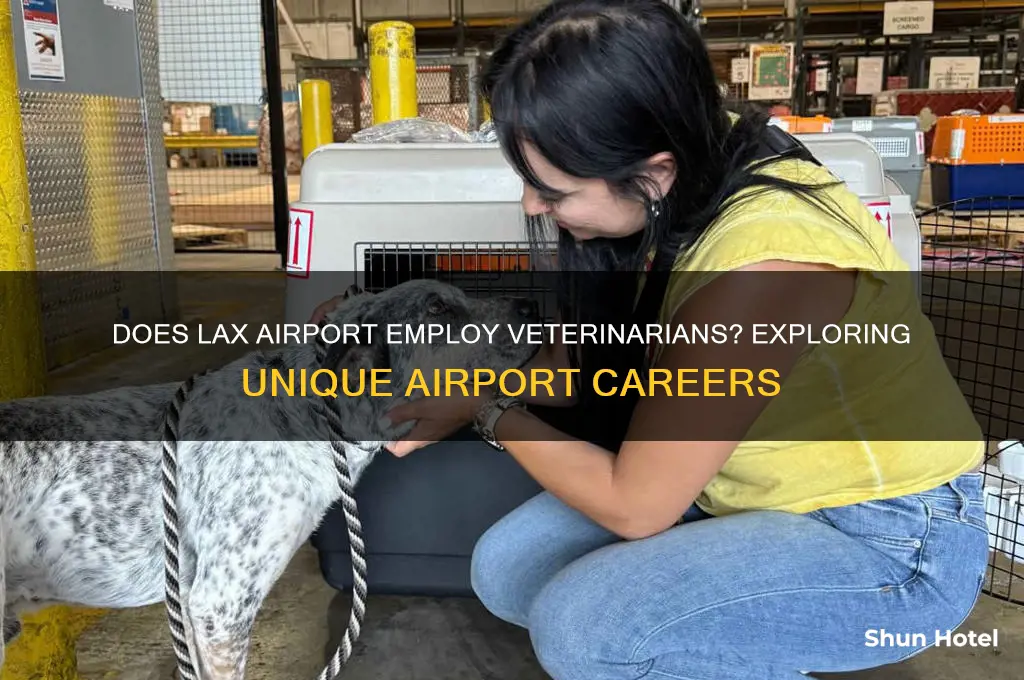 does los angeles international airport hire vetenarians