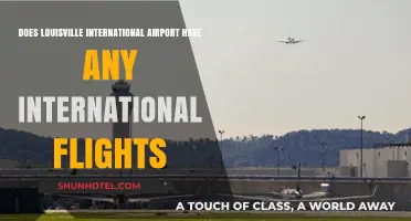 Exploring Louisville International Airport's Global Connections: Are There International Flights?
