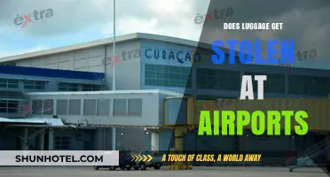 Airport Luggage Theft: How Safe is Your Baggage During Travel?