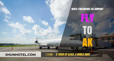 Lynchburg VA Airport to Alaska: Possible Flight Routes Explored