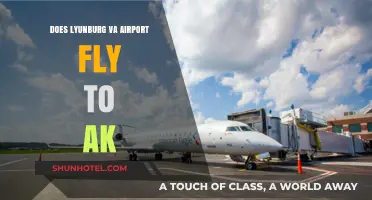Does Lynchburg VA Airport Offer Flights to Alaska? Find Out Here