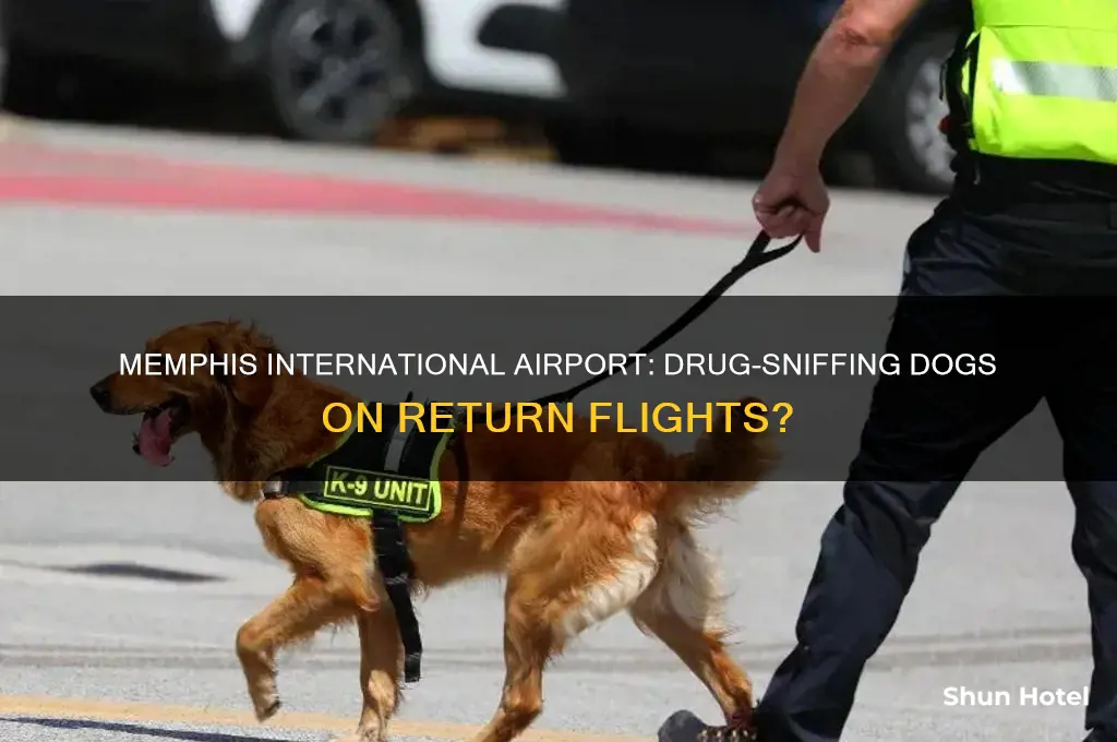 does memphis international airport use drug-sniffing dogs on return flights