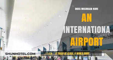 Exploring Michigan's Global Gateway: Does the State Have an International Airport?