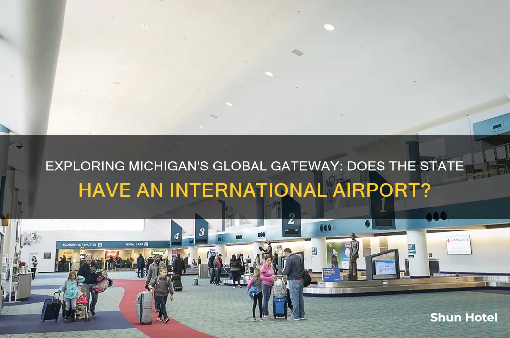 does michigan have an international airport