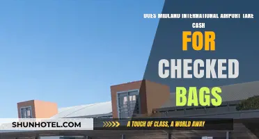Midland International Airport: Cash Payments for Checked Bags Explained