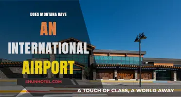 Exploring Montana's Air Travel: Does the State Have an International Airport?