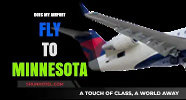 Does My Airport Fly to Minnesota? A Quick Travel Guide