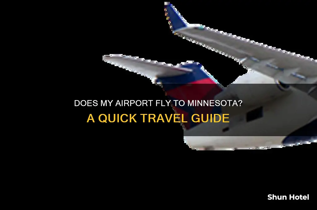does my airport fly to minnesota