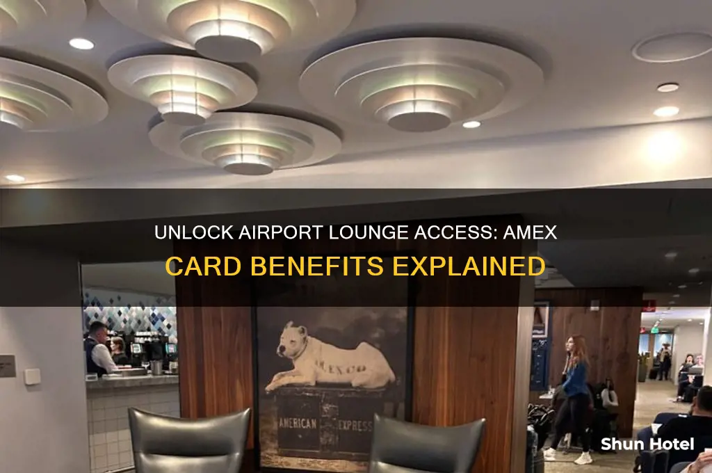 does my amex card get me into airport lounges