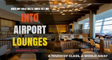 Gold Delta Amex Airport Lounge Access: What You Need to Know