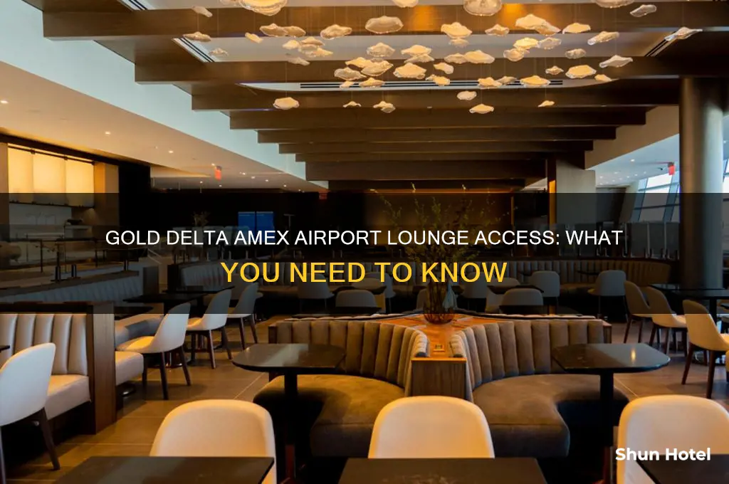 does my gold delta amex get me into airport lounges